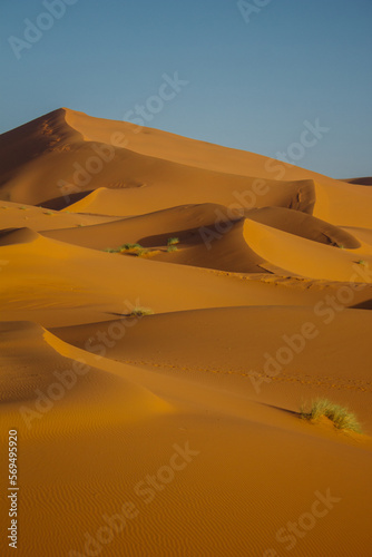 Abstract photograph of sand dunes shot at sunset in Merzouga, Morocco © Aneta
