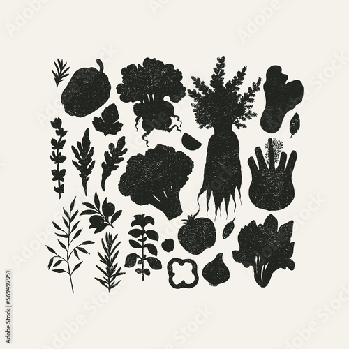Various vegetable silhouettes collection. Abstract vintage style. Healthy food design. 