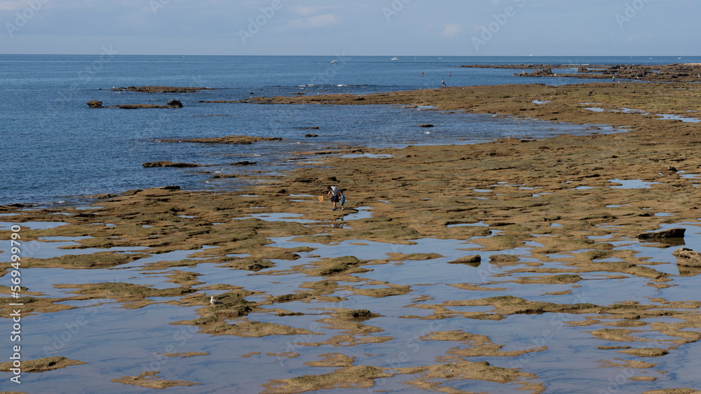 Fototapeta premium Father and son shellfishing at low tide on the beach of Caleta, Cádiz. Spain