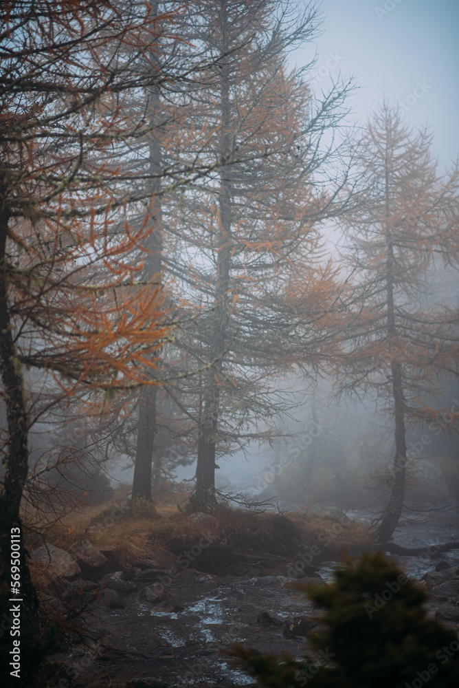 Autumnlandscape in Trentino Italy Autumnlandscape in Trentino Italy