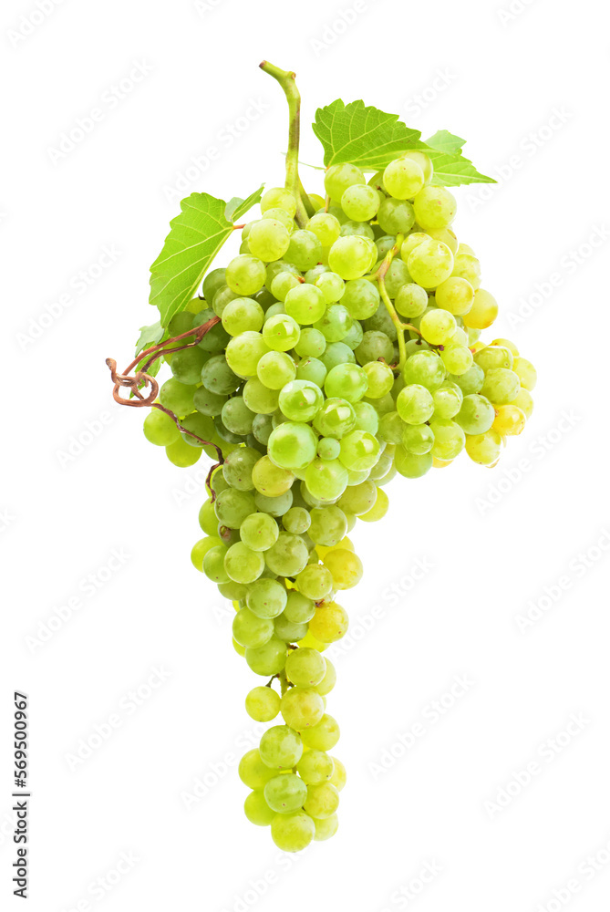 Bunch of green grapes isolated Bunch of green grapes isolated