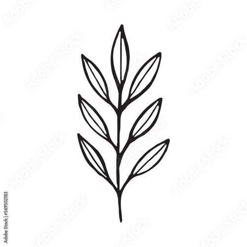 Twigs with leaves isolated on a white background. Vector hand drawn illustration. Ideal for cards  logos  decorations  invitations  cosmetic design. Vector illustration