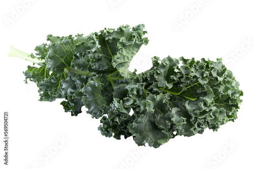 Fresh green leaves of Kale. Green vegetable leaves isolated on a transparent background.