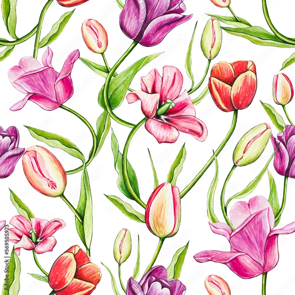 Seamless colorful spring pattern with tulips. Watercolor floral tulip backgraund.