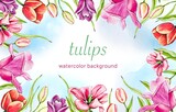 Hand draw watercolor floral tulip background. Border with spring flowers.