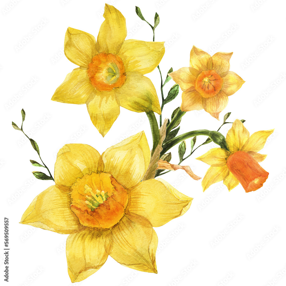 Bouquet of spring yellow daffodil flowers Bouquet of spring yellow daffodil flowers