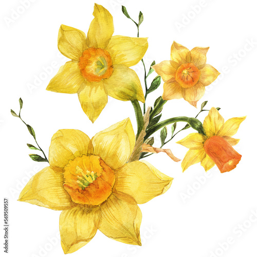 Bouquet of spring yellow daffodil flowers