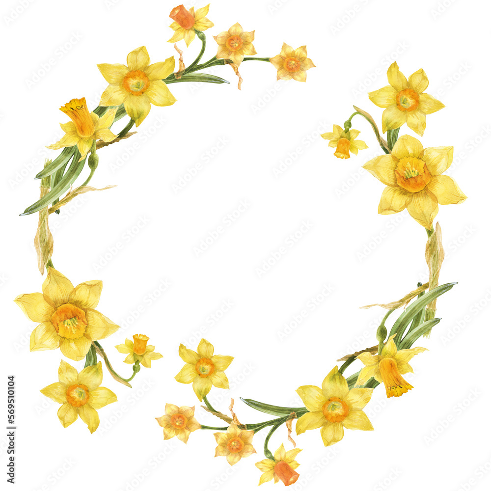 Spring wreath of yellow daffodil flowers.