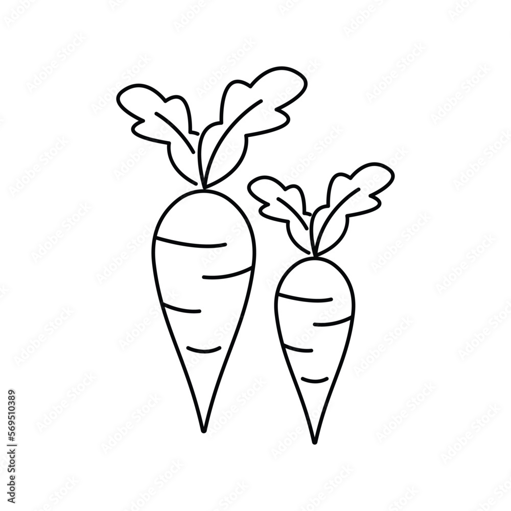 Radish With leaf icon design. Radish vegetable icon. isolated on white background. vector illustration Radish With leaf icon design. Radish vegetable icon. isolated on white background. vector illustration