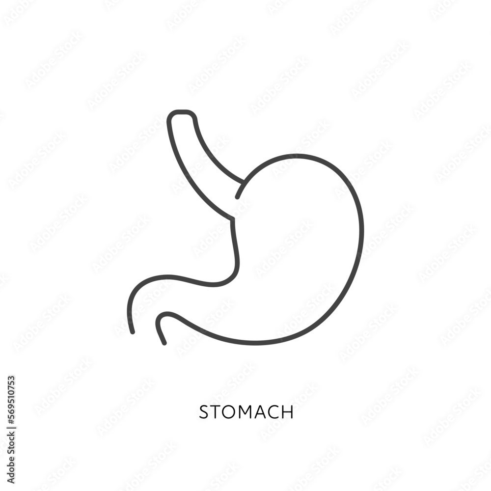 Outline style health care ui icons collection. Vector black linear illustration. Stomach anatomy symbol isolated on white background. Design element for healthcare, digestion system infographic Outline style health care ui icons collection. Vector black linear illustration. Stomach anatomy symbol isolated on white background. Design element for healthcare, digestion system infographic