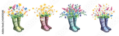 Wildflowers in rubber boots, summer bloom, mesdow, floral arrangement clipart
 Stock illustration. Hand painted in watercolor. photo