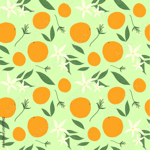 seamless pattern with oranges on green background