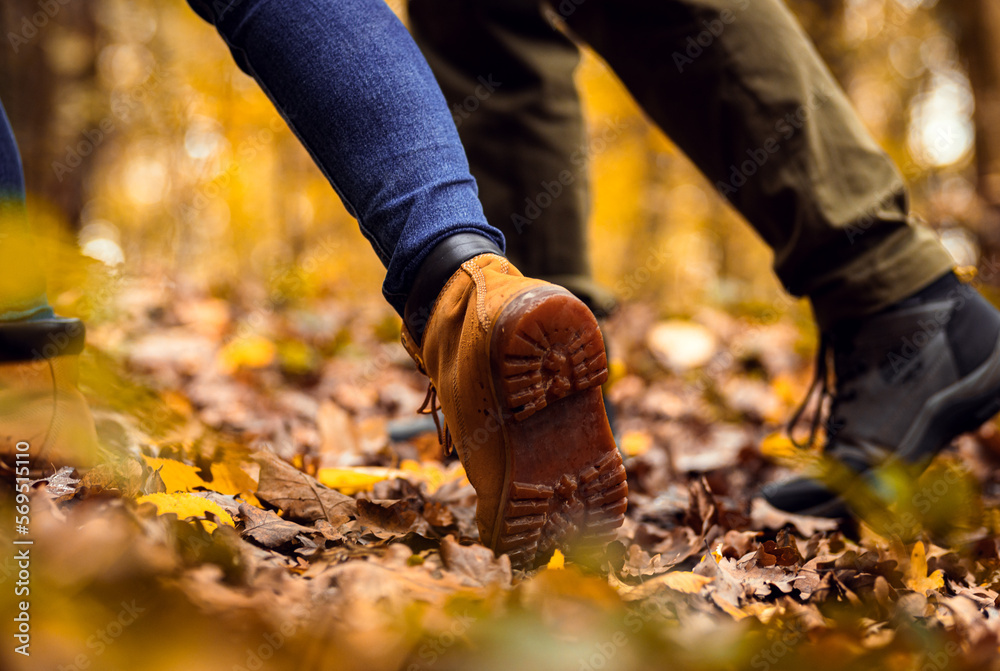 Close up of two hikers feet walking in forest. Close up of two hikers feet walking in forest.