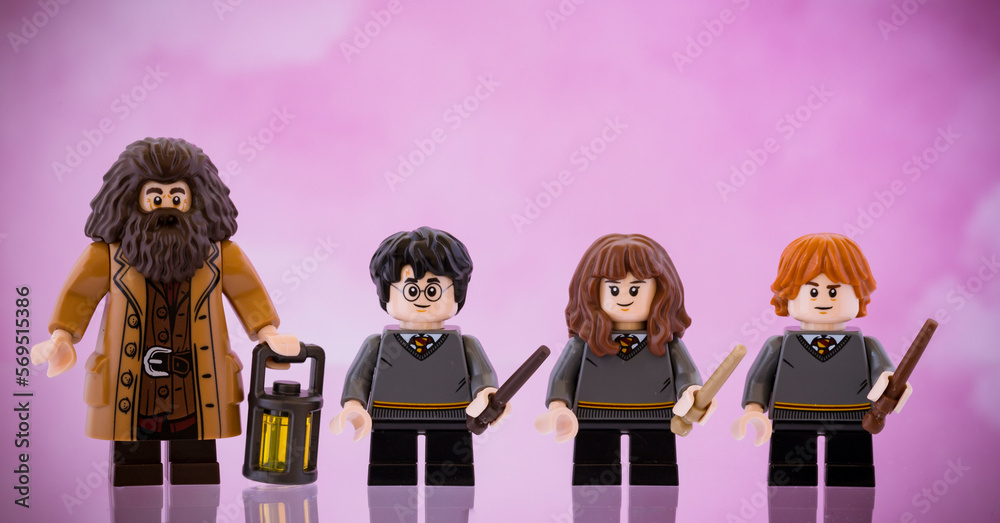 Obraz premium Dortmund - Deutschland 8. Februar 2023 Lego Minifigur aus Harry Potter