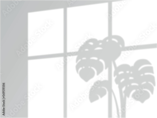 Window light and shadow tropical leaves potted plant transparent overlay effect realistic vector