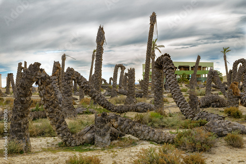 The graveyard of fallen dinosaurs