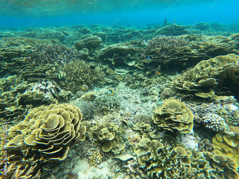 Fototapeta premium Nusa Penida, Indonesia