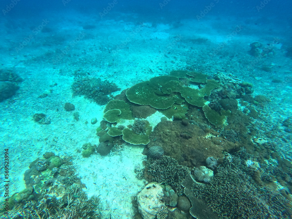 Fototapeta premium Nusa Penida, Indonesia
