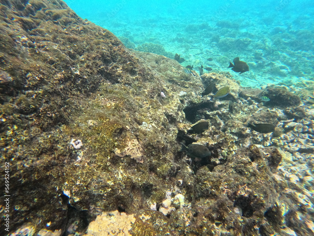 Nusa Penida, Indonesia Nusa Penida, Indonesia
