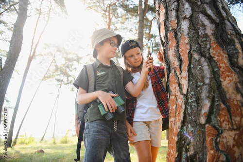 kids scouts in the forest. © Serhii