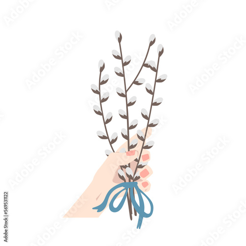 Woman holding in hand bunch of pussy willow. Easter vector illustration isolated on white