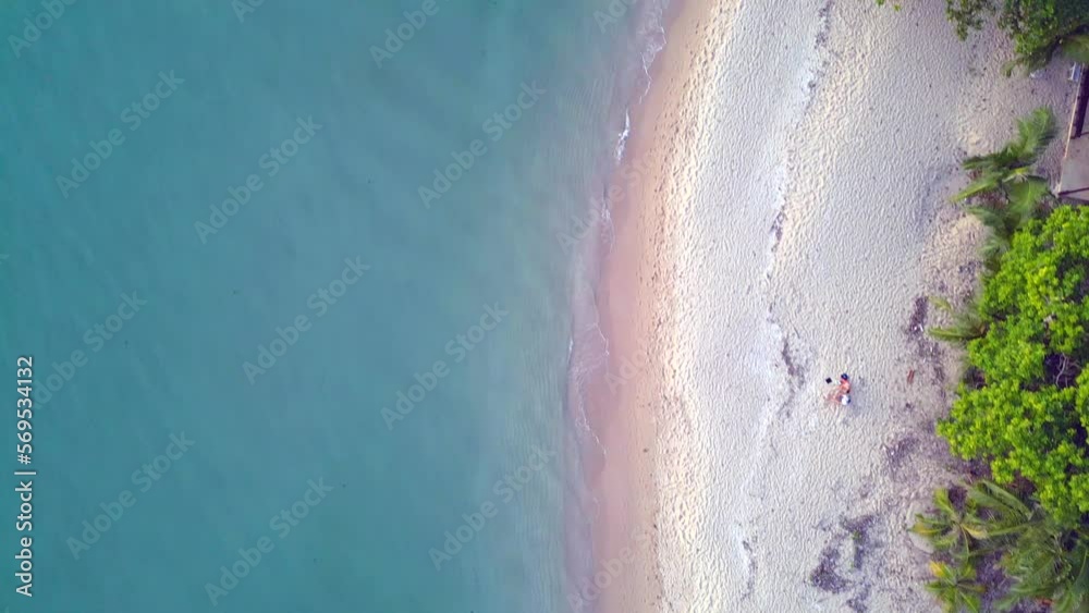 trees, hut coastline waves paradise beach front. Calm aerial view flight drone