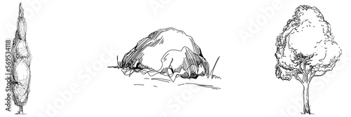 Tropical tree with leaves, black silhouettes isolated on white background. Vector