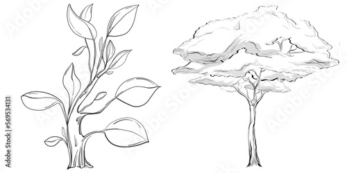 Tropical tree with leaves, black silhouettes isolated on white background. Vector