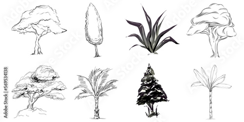 Tropical tree with leaves, black silhouettes isolated on white background. Vector