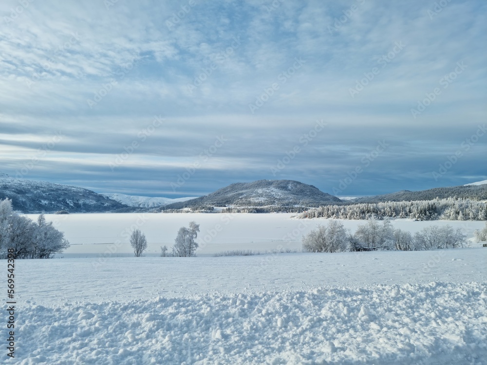 winter landscape with snow and mountain