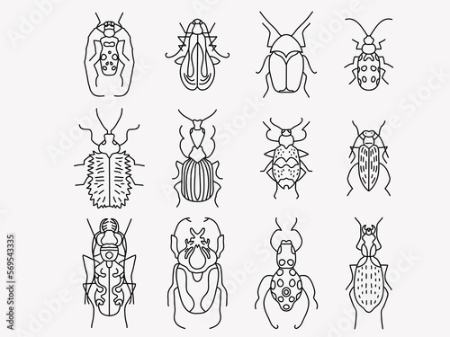 vector illustration of a set of insect beetles in the doodle style, black outline on an isolated white background