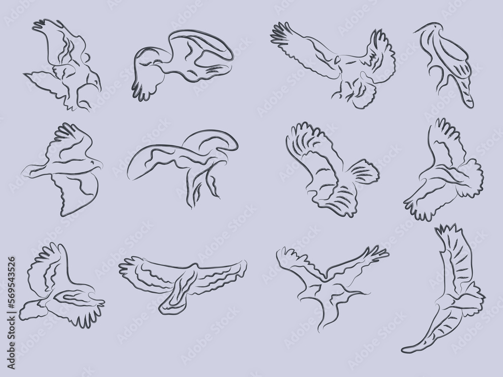 hand drawn eagle bird sketch vector illustration.eagle outline painting icon set hand drawn eagle bird sketch vector illustration.eagle outline painting icon set