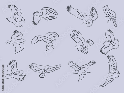 hand drawn eagle bird sketch vector illustration.eagle outline painting icon set