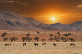 Namibian desert with oryx in the foreground and sand dunes in the background Namibia