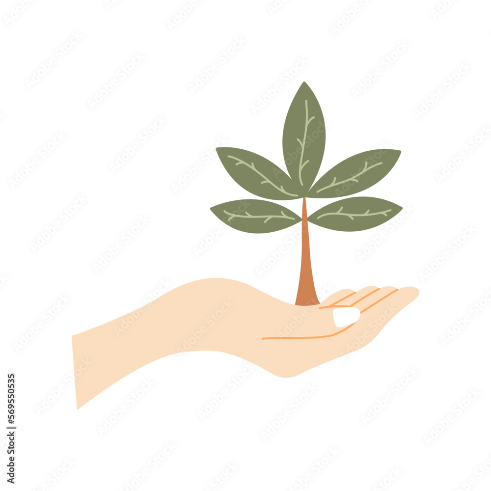 Human palm holds small tree. Caring for environment, preservation forest, theme of ecology. Colorful vector isolated illustration hand drawn. Tree planting, preserving nature Human palm holds small tree. Caring for environment, preservation forest, theme of ecology. Colorful vector isolated illustration hand drawn. Tree planting, preserving nature