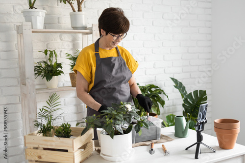 Female blogger sits in front of smartphone camera on tripod records instructional tutorial video for her blog shoots process of replanting flowers and green plants full of soil enjoys botanic hobby