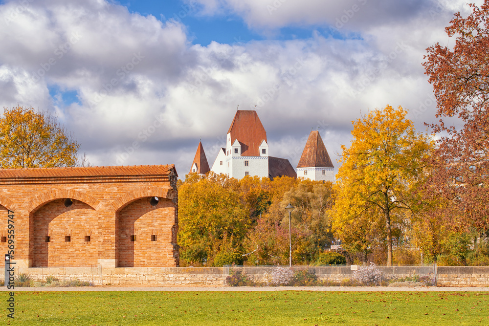 Obraz premium beautiful autumn view in the park,autumn park with yellow trees and yellow grass in ingolstadt city bavaria germany 