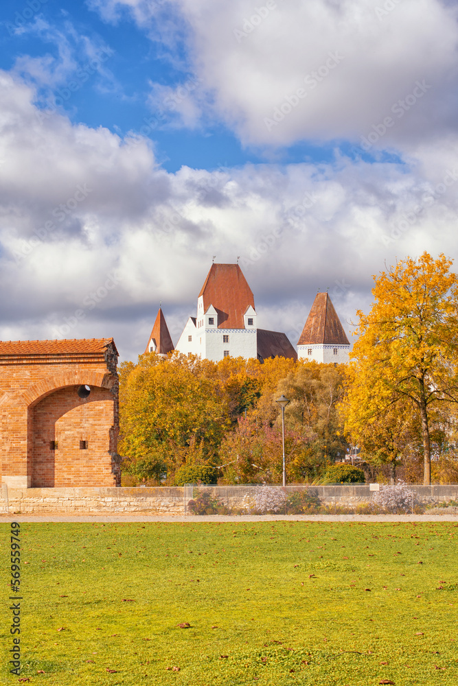 Obraz premium beautiful autumn view in the park,autumn park with yellow trees and yellow grass in ingolstadt city bavaria germany 