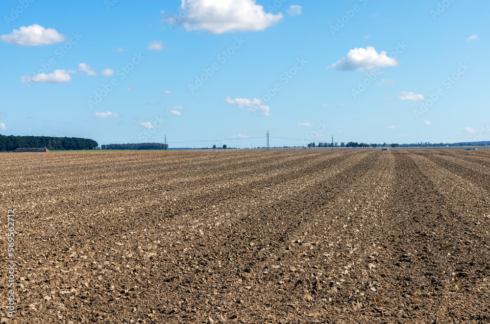 plowed soil in the field after harvesting plowed soil in the field after harvesting