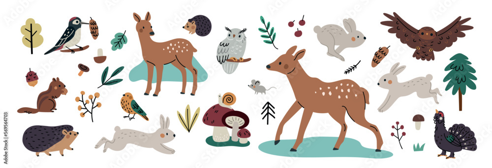 Cute forest animals collection. Owl, deer, hare, hedgehog, birds, squirrel, woodpecker, chipmunk, black grouse. Hand drawn vector illustration set woodland animals, trees, mushrooms isolated