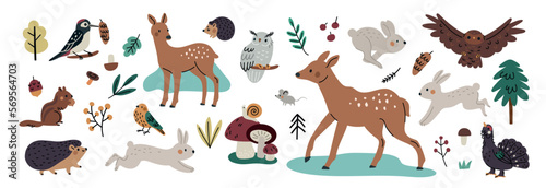 Cute forest animals collection Fototapet