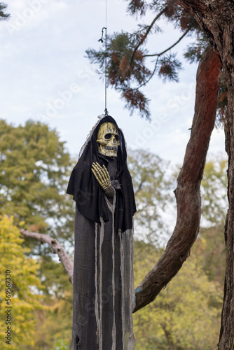Skeleton hanging on a tree, Halloween decor