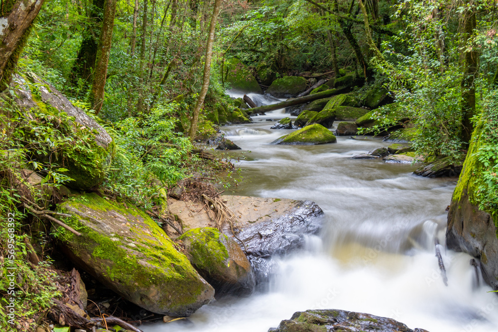 Fototapeta premium Long exposure river in the forest