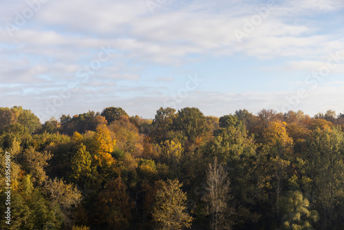 Fototapeta Naklejka Na Ścianę i Meble -  Deciduous trees in the autumn season with colorful foliage