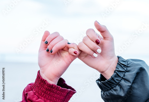 Crop girlfriends making pinkie promise sign