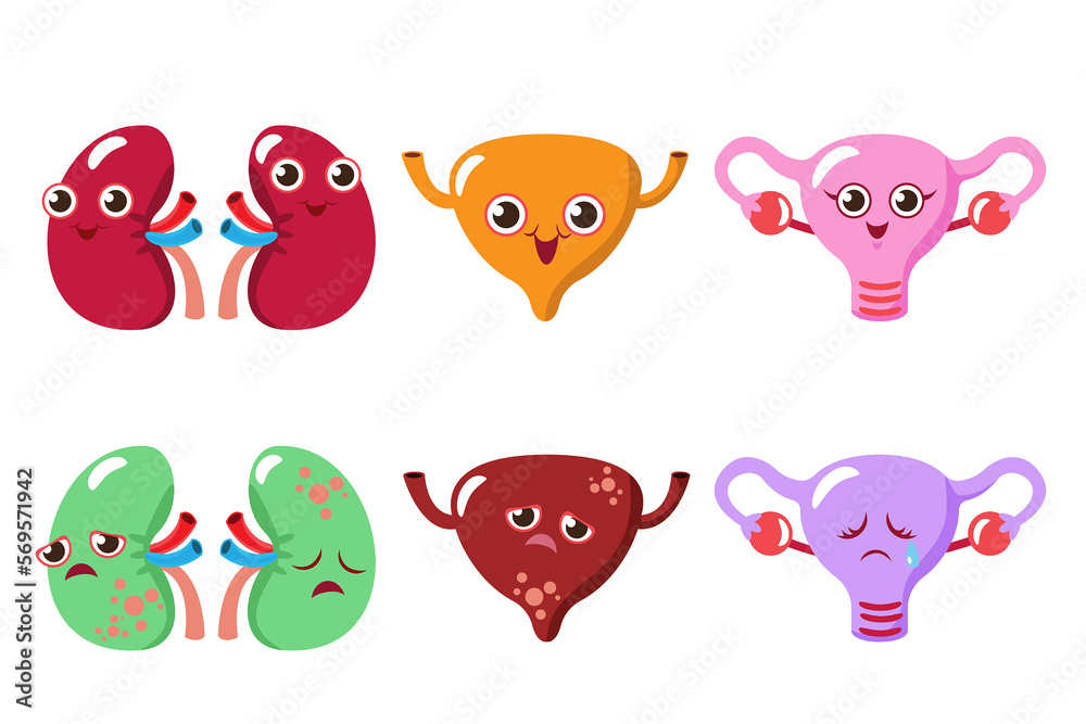 cute cartoon vector, illustration emotion kidney, urinary and uterus ...