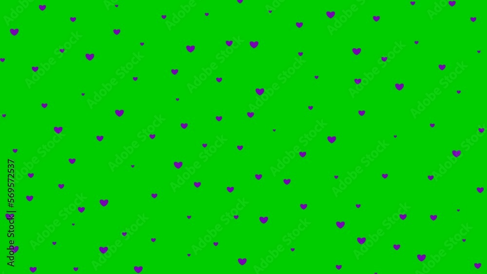 Animated violet hearts flying from top to bottom. Looped video. Rain of hearts isolated on green background Animated violet hearts flying from top to bottom. Looped video. Rain of hearts isolated on green background