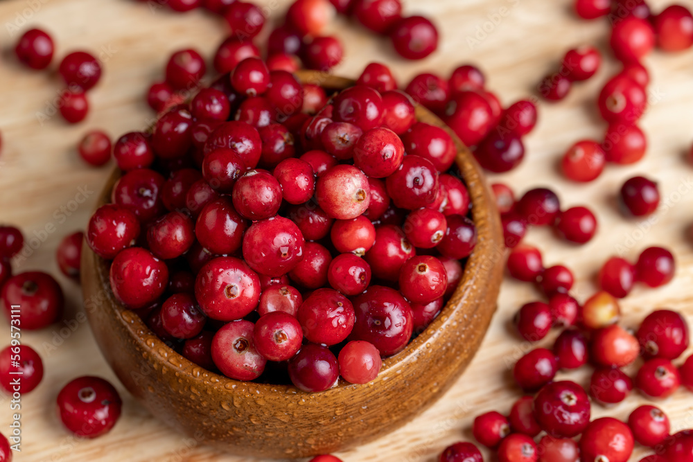 fresh ripe cranberries with drops of pure water fresh ripe cranberries with drops of pure water