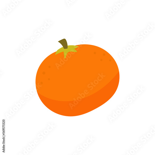 tangerine fruit illustration