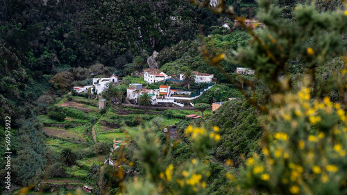 Wandern im Teneriffa Anagagebirge. photo